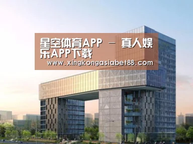 案例展示四