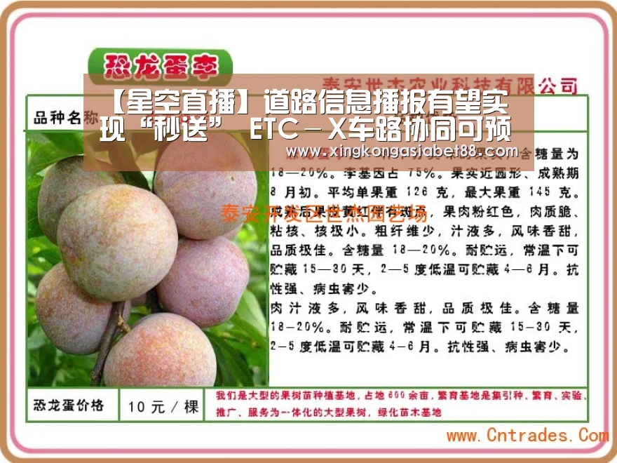 【星空直播】道路信息播报有望实现“秒送” ETC-X车路协同可预防事故(图3) 星空官网