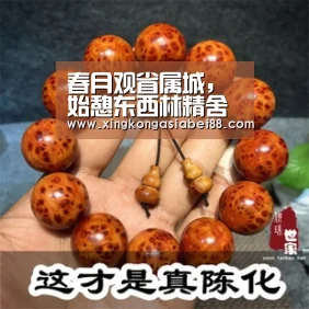 春月观省属城,始憩东西林精舍-星空APP(图2) 星空赛事