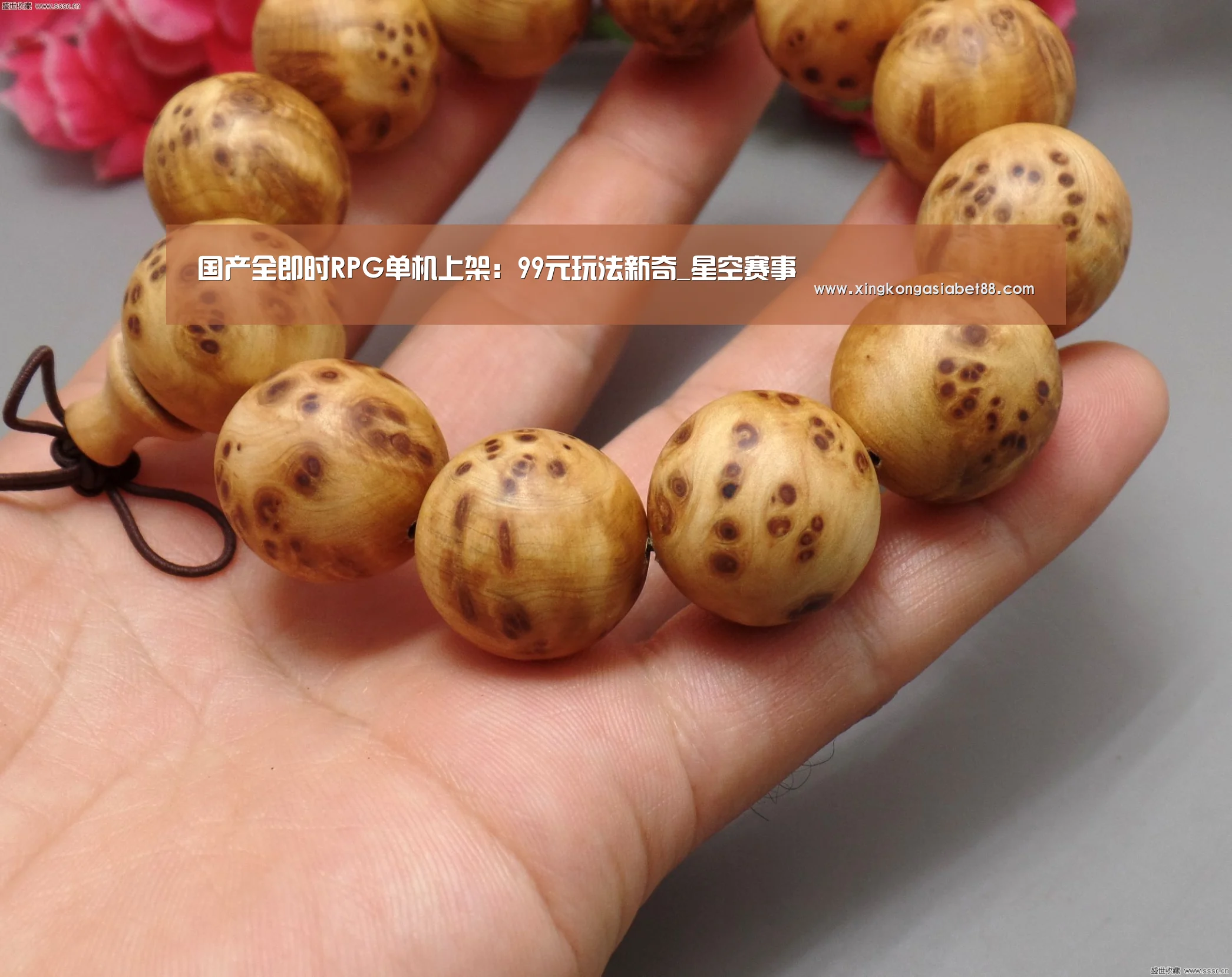 国产全即时RPG单机上架:99元玩法新奇_星空赛事(图1) 星空直播