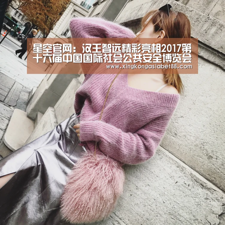 星空官网:汉王智远精彩亮相2017第十六届中国国际社会公共安全博览会(图1) 星空APP