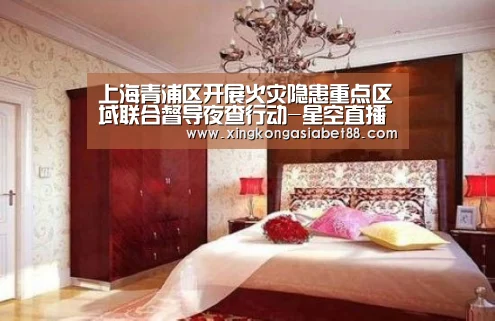 上海青浦区开展火灾隐患重点区域联合督导夜查行动-星空直播(图2) 星空赛事