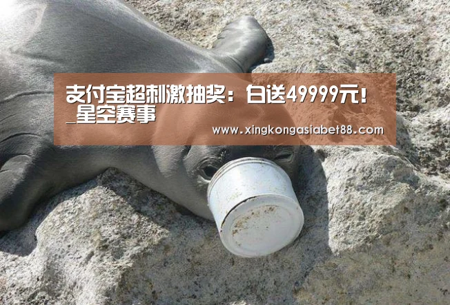 支付宝超刺激抽奖:白送49999元!_星空赛事(图2) 星空直播