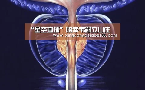 星空官网