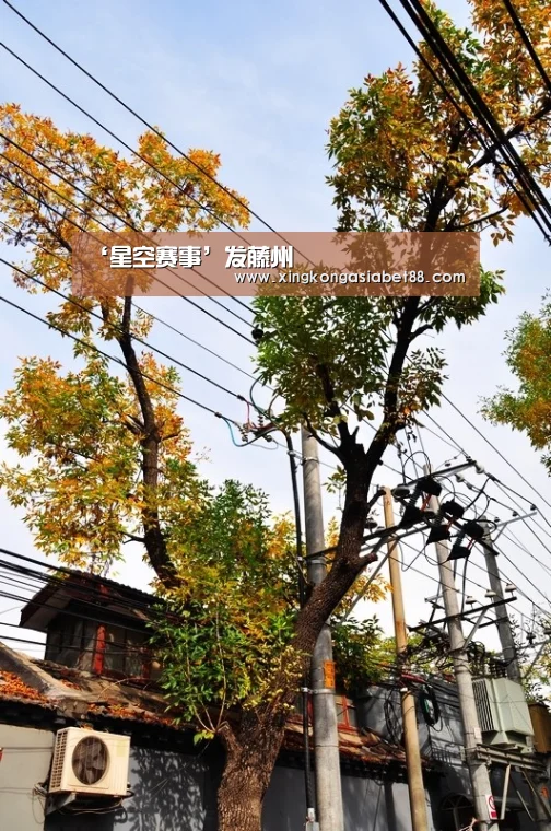 ‘星空赛事’发藤州(图4) 星空官网